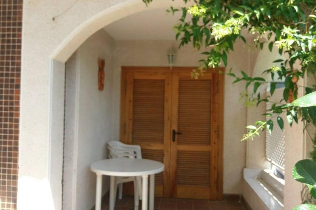 La Casa De La Palmera Daire Torrevieja Dış mekan fotoğraf