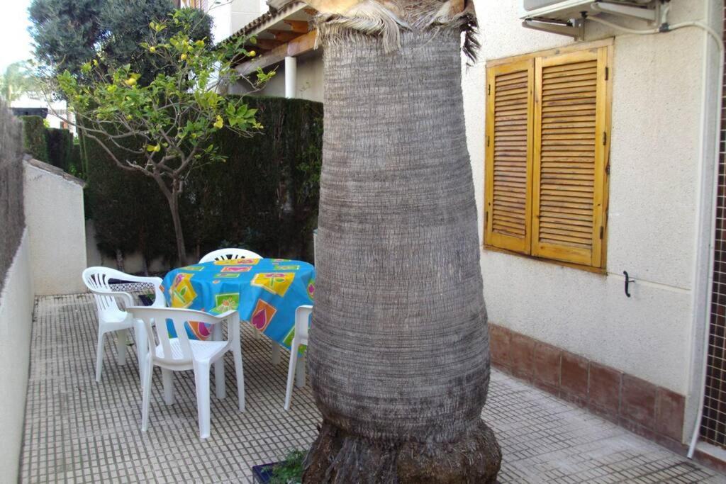 La Casa De La Palmera Daire Torrevieja Dış mekan fotoğraf
