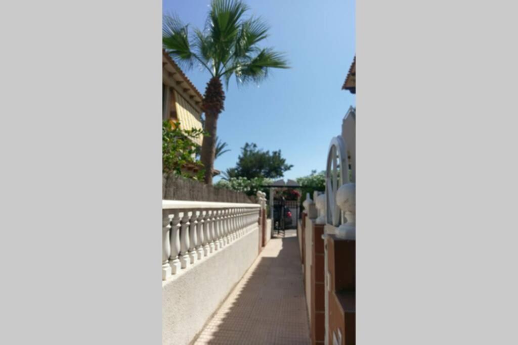 La Casa De La Palmera Daire Torrevieja Dış mekan fotoğraf